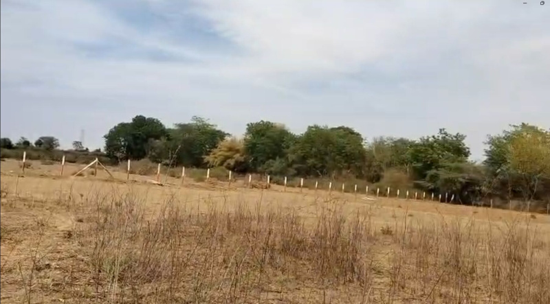  6 Bigha Agricultural/Farm Land for Sale in Dabok, Udaipur