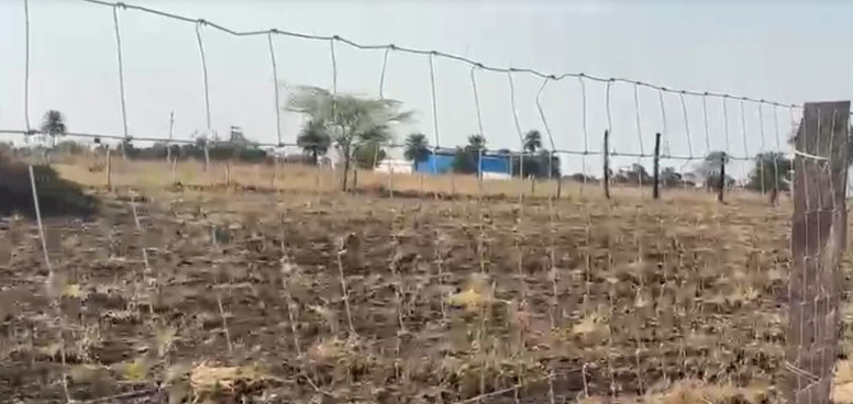  6 Bigha Agricultural/Farm Land for Sale in Bhatewar, Udaipur