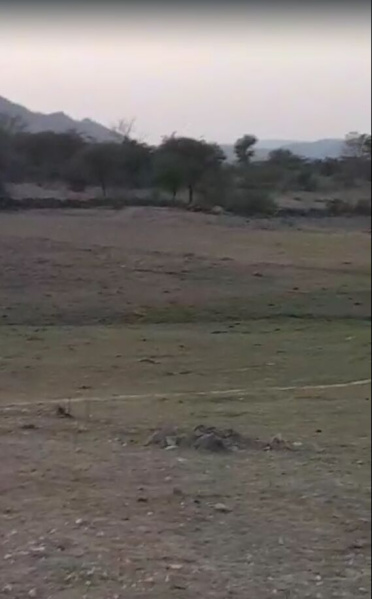  16 Bigha Agricultural/Farm Land for Sale in Salumbar, Udaipur