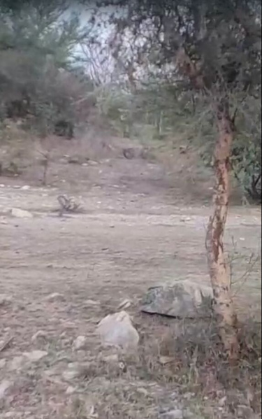  16 Bigha Agricultural/Farm Land for Sale in Salumbar, Udaipur