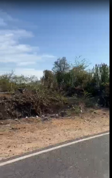  100000 Sq.ft. Agricultural/Farm Land for Sale in Kewda Khurd, Udaipur