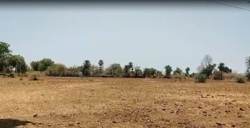  15 Bigha Agricultural/Farm Land for Sale in Bhatewar, Udaipur