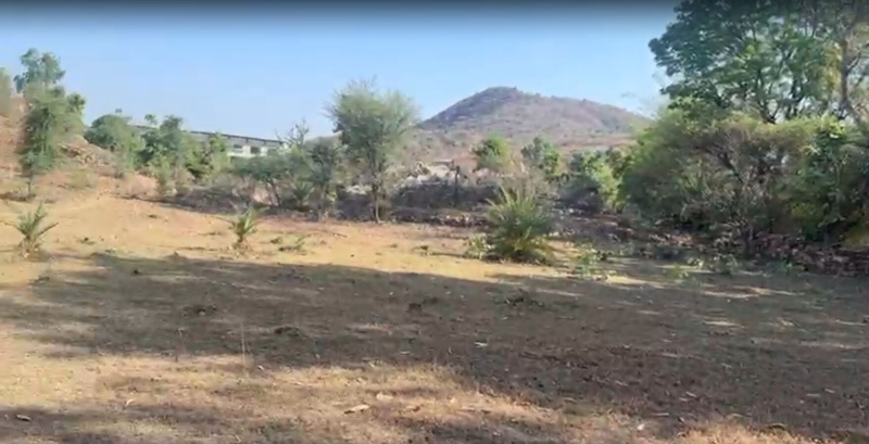  19 Bigha Agricultural/Farm Land for Sale in Chirva Ghata, Udaipur