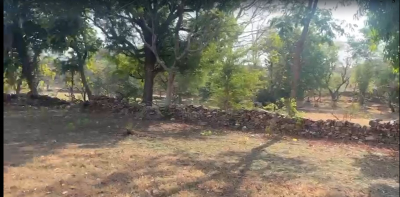  19 Bigha Agricultural/Farm Land for Sale in Chirva Ghata, Udaipur
