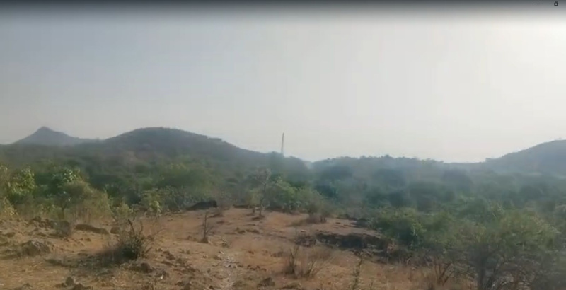 50 Bigha Agricultural/Farm Land for Sale in Chirva Ghata, Udaipur