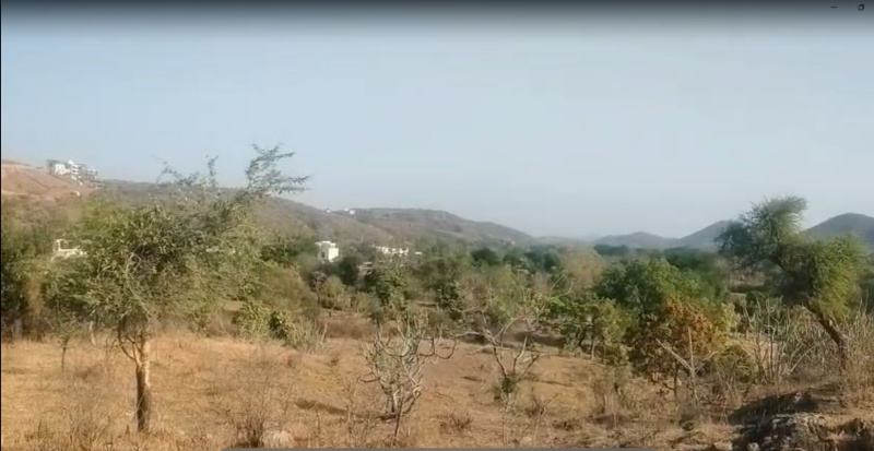  50 Bigha Agricultural/Farm Land for Sale in Chirva Ghata, Udaipur