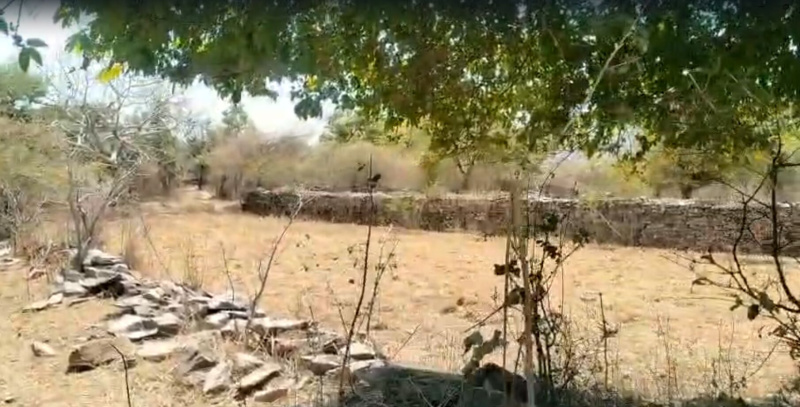  6 Bigha Agricultural/Farm Land for Sale in Chirva Ghata, Udaipur