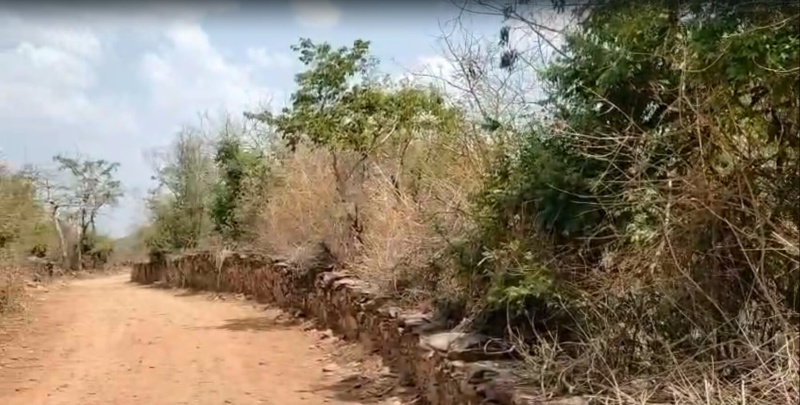  75000 Sq.ft. Agricultural/Farm Land for Sale in Chirva Ghata, Udaipur