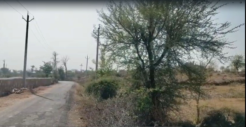  7 Bigha Agricultural/Farm Land for Sale in Kurabad, Udaipur
