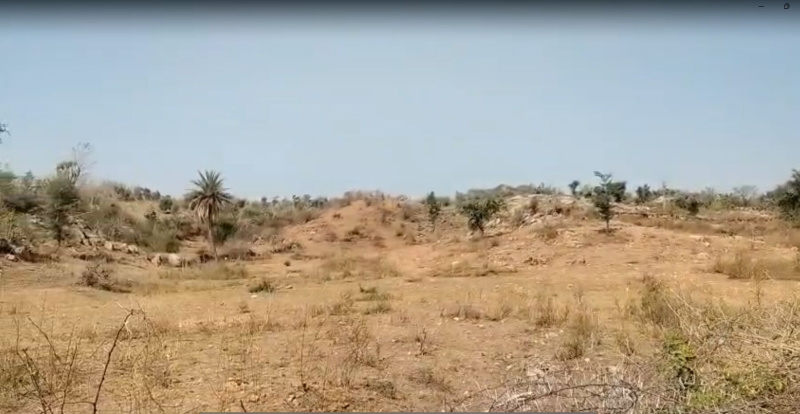  7 Bigha Agricultural/Farm Land for Sale in Kurabad, Udaipur