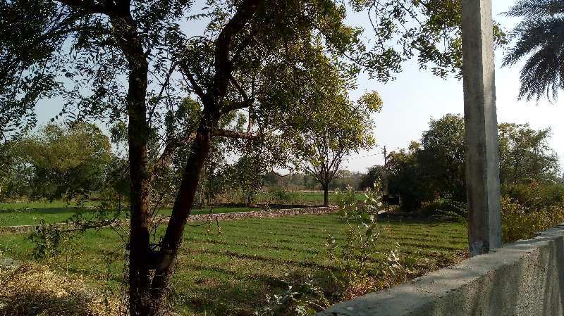 Agricultural Land 100 Bigha for Sale in Bhatewar, Udaipur