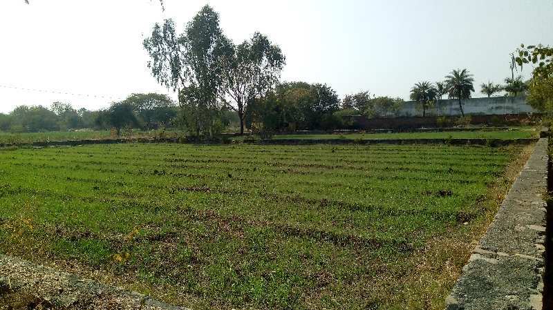 Agricultural Land 125 Bigha for Sale in Dabok, Udaipur