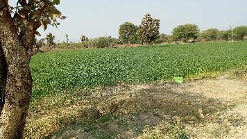  Agricultural Land for Sale in Bhinder, Udaipur
