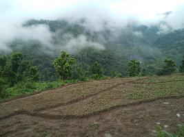  Agricultural Land for Sale in Pauri, Pauri Garhwal
