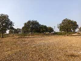  Commercial Land for Sale in Yashwant Nagar, Hazaribagh