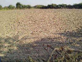  Agricultural Land for Sale in Becharaji, Mahesana