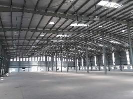 55000 Sq.ft. Warehouse for Rent in Jhagadia Gidc, Bharuch