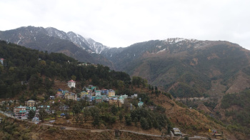  Hotels for Rent in Mcleodganj, Dharamsala
