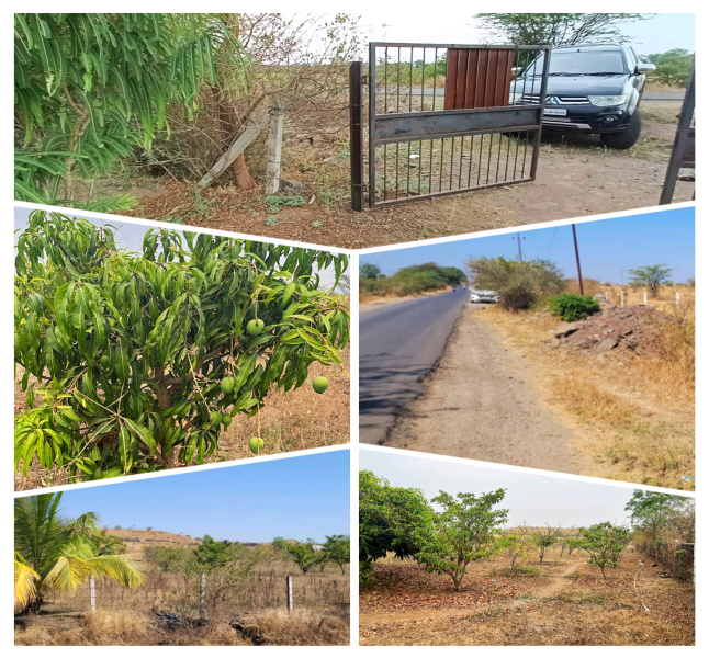  Residential Plot 85000 Sq.ft. for Sale in Saswad Road, Pune