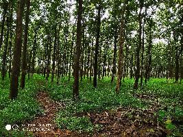  Agricultural Land for Sale in Jairam Nagar, Goa