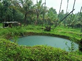 Farm Land for sale in Goa | Buy/Sell Agricultural Land in Goa