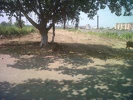  Residential Plot for Sale in Bhatagaon, Raipur