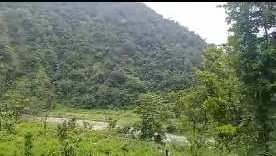  Agricultural Land for Sale in Tapovan, Rishikesh