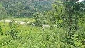  Agricultural Land for Sale in Tapovan, Rishikesh