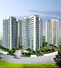 1 BHK Flat for Sale in Ghodbunder Road, Thane