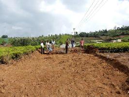 2 BHK Residential Plot for Sale in Ketti, Ooty