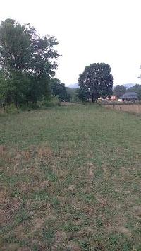  Agricultural Land for Sale in Jawalamukhi, Kangra