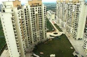 3 BHK Flat for Rent in Sector 33 Gurgaon