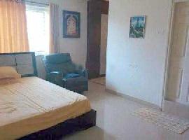 3 BHK Flat for Sale in Sector 66 Gurgaon