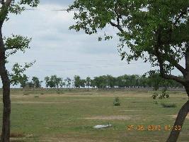  Commercial Land for Sale in Bodh Gaya