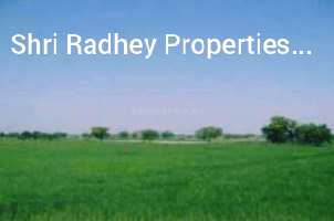  Industrial Land for Sale in Samalkha, Panipat