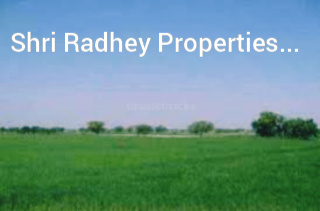  Industrial Land for Sale in Sonipat Bypass Road, 