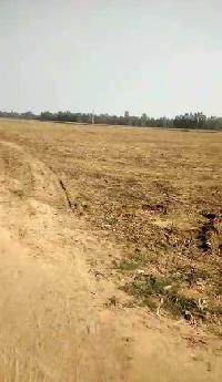  Residential Plot for Sale in DLF Chattarpur Farms
