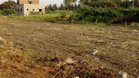 Residential Plot 5 Cent for Sale in