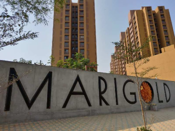 2 BHK Flat for Sale in South Bopal, Ahmedabad