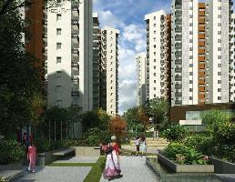 3 BHK Flat for Sale in Naranpura, Ahmedabad