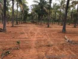  Agricultural Land for Sale in Srirampuram, Bangalore