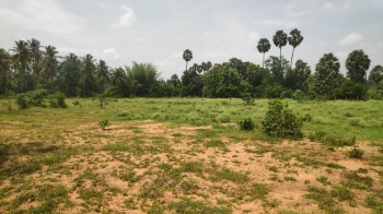  Agricultural Land for Sale in Palakkad Road, Coimbatore