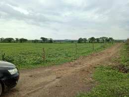 Agricultural Land 50 Bigha for Sale in Lakheri, Bundi