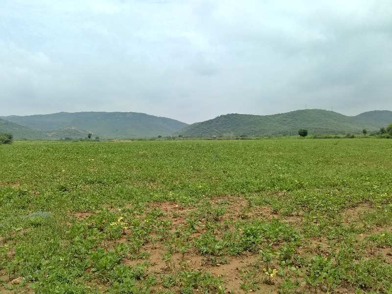 Agricultural Land 8 Bigha for Sale in