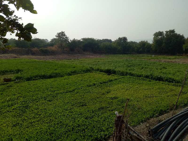 Agricultural Land 6 Bigha for Sale in