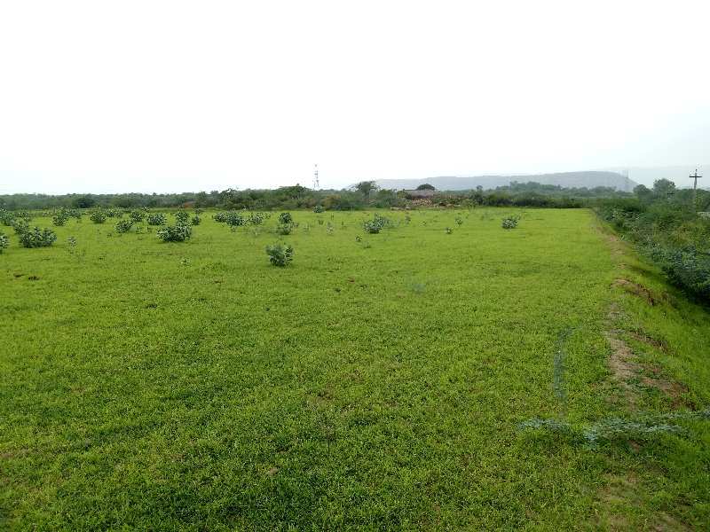 Agricultural Land 24 Bigha for Sale in