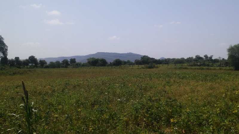 Agricultural Land 41 Bigha for Sale in