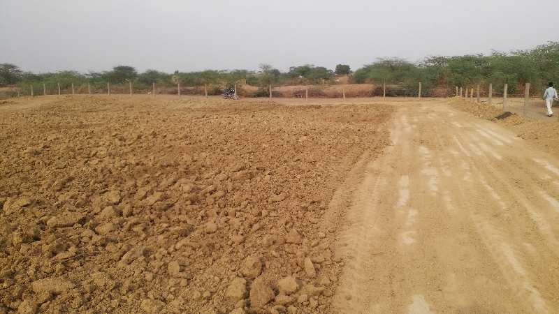 Agricultural Land 9 Bigha for Sale in Indragarh, Bundi