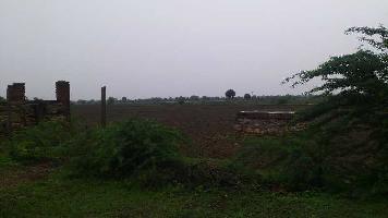  Agricultural Land for Sale in Pindwara, Sirohi