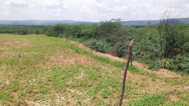 Agricultural Land 17 Bigha for Sale in